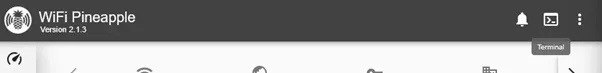 local web shell in Wi-Fi pineapple interface