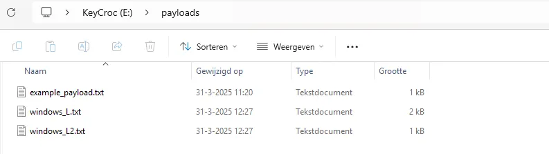 KeyCroc voorbeeld bestanden